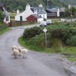 Postcards from Scotland