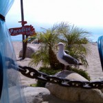 Postcards from L.A.