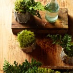Anti-Green Thumb