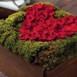 I ♥