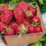 Strawberry Rhubarb Crumble