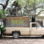 The Spell of Savannah